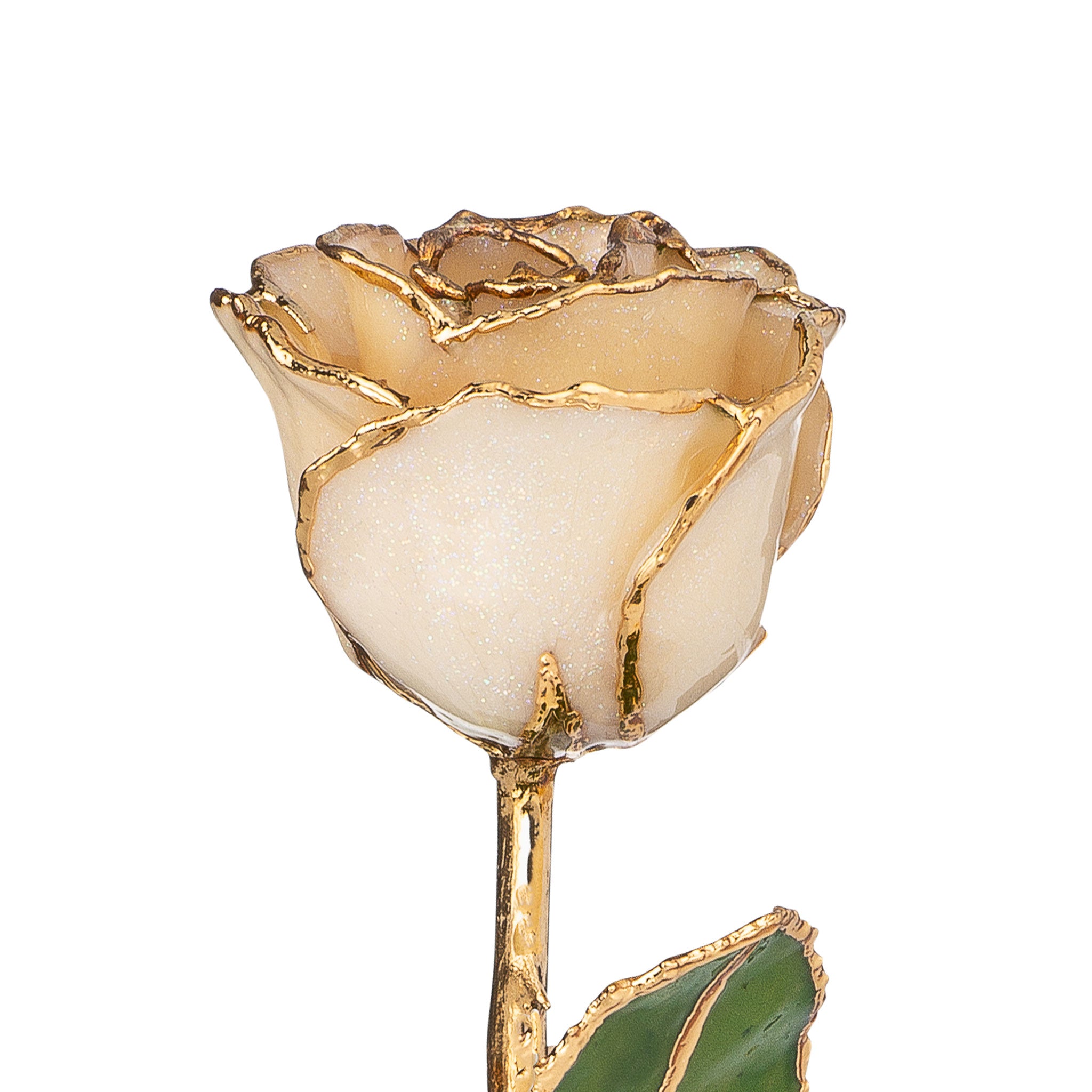 24K Gold Trimmed Forever Rose with Diamond Petals with Sparkles. View of Stem, Leaves, and Rose Petals and Showing Detail of Gold Trim