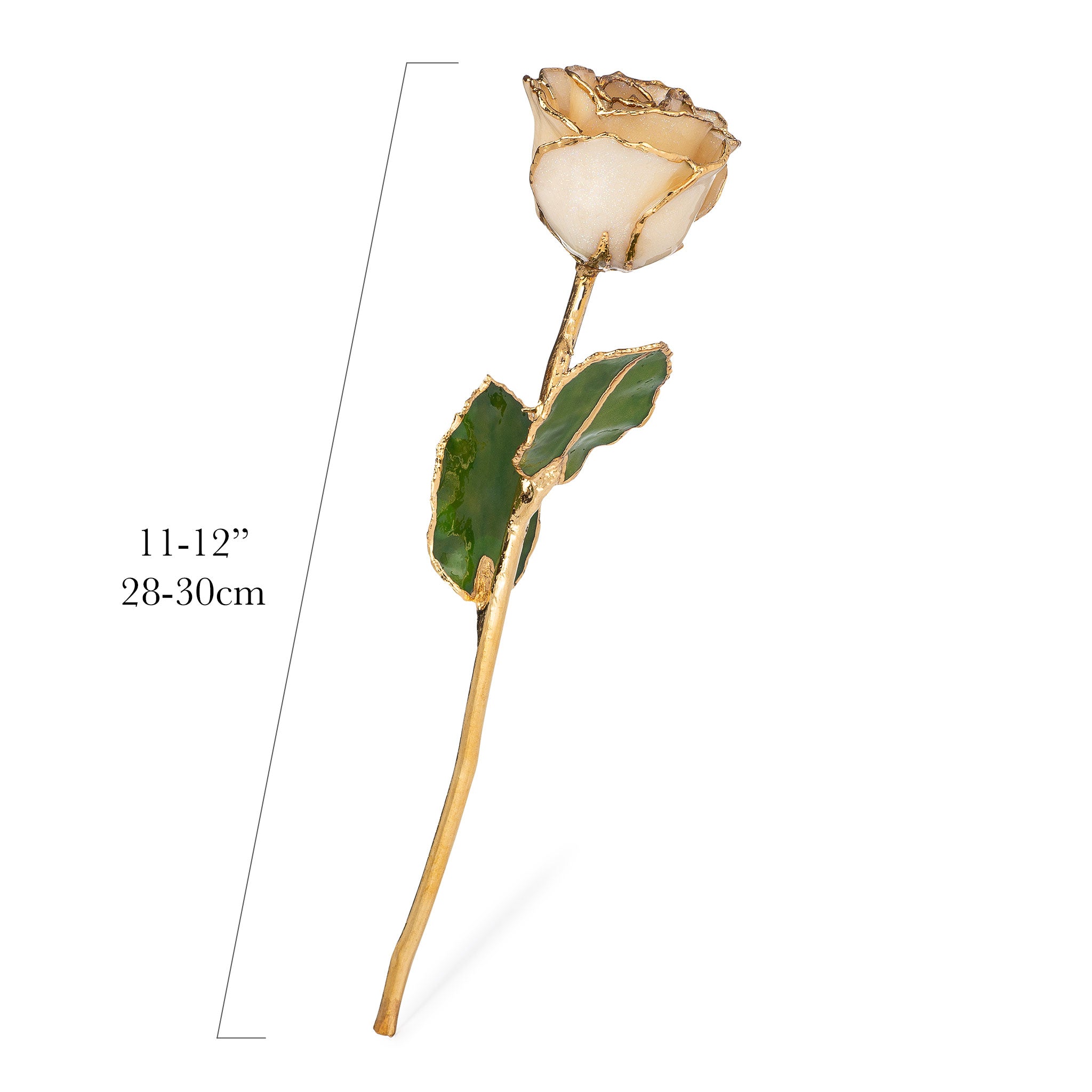 24K Gold Trimmed Forever Rose with Diamond Petals with Sparkles. View of Stem, Leaves, and Rose Petals and Showing Detail of Gold Trim showing measurements