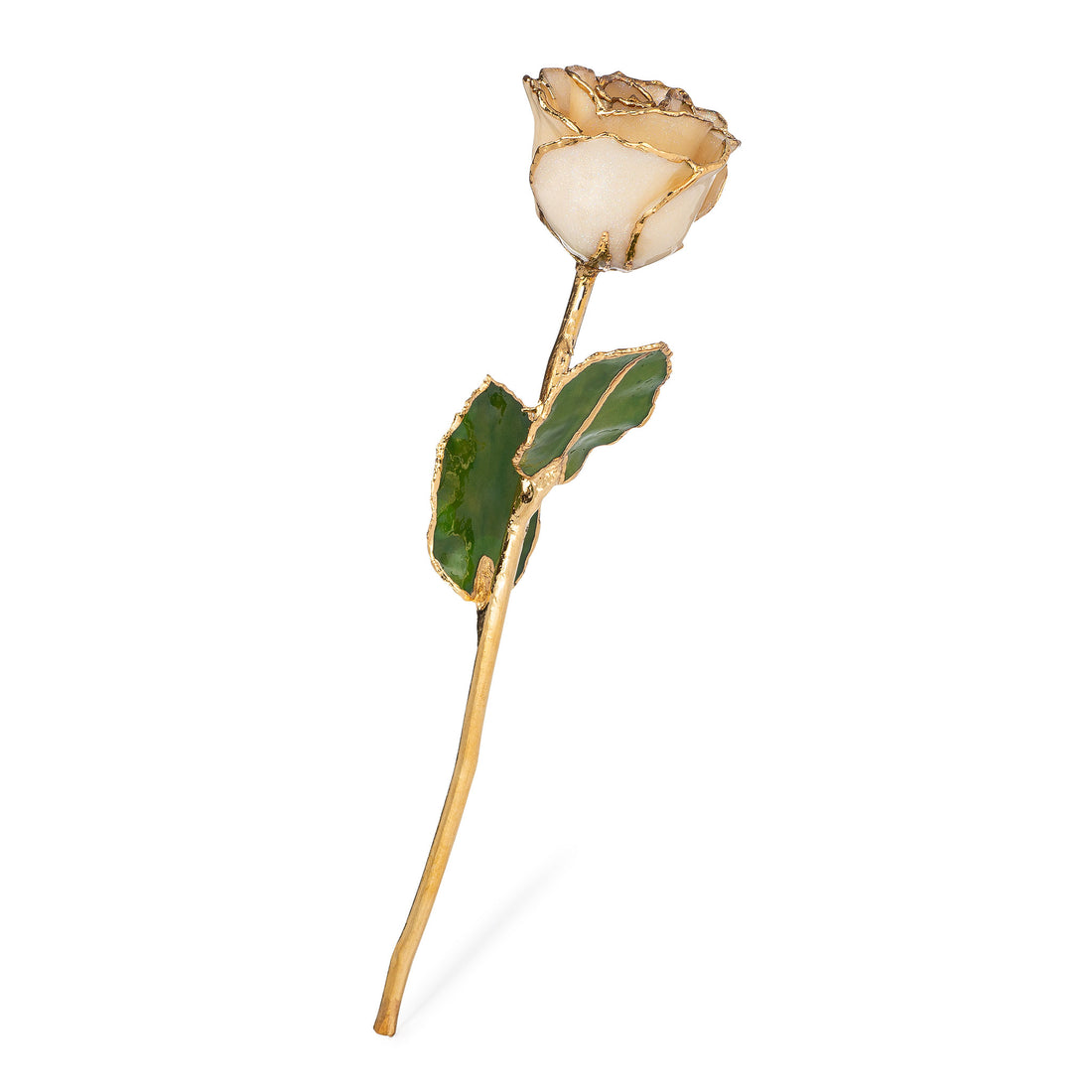 24K Gold Trimmed Forever Rose with Diamond Petals with Sparkles. View of Stem, Leaves, and Rose Petals and Showing Detail of Gold Trim