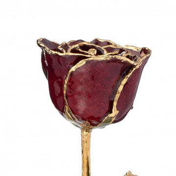 24K Gold Forever Rose - Garnet (January Birthstone)