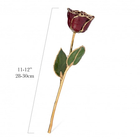 24K Gold Forever Rose - Garnet (January Birthstone)