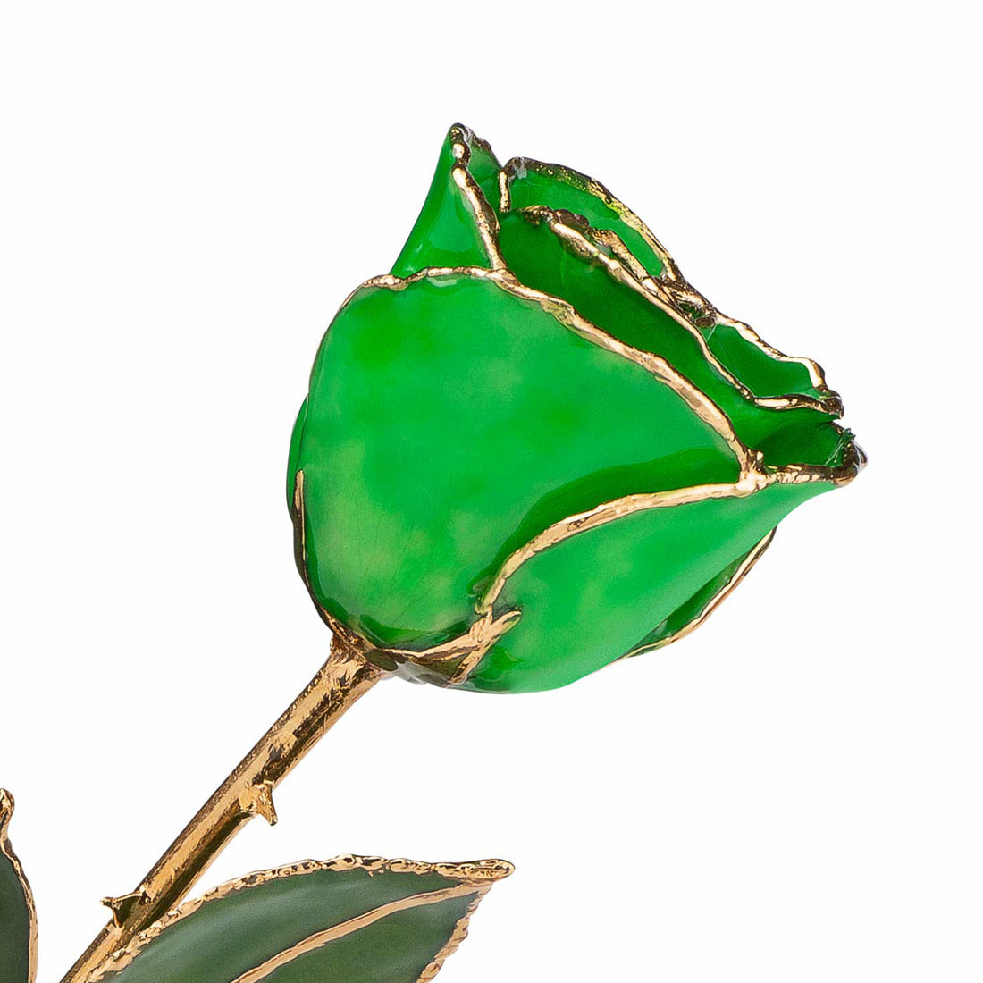 24K Gold Forever Rose - Green