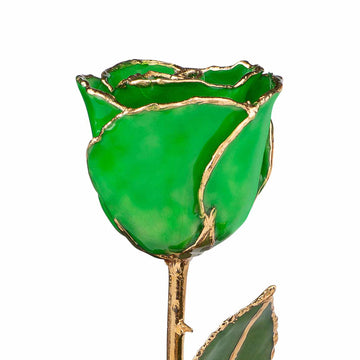 24K Gold Forever Rose - Green