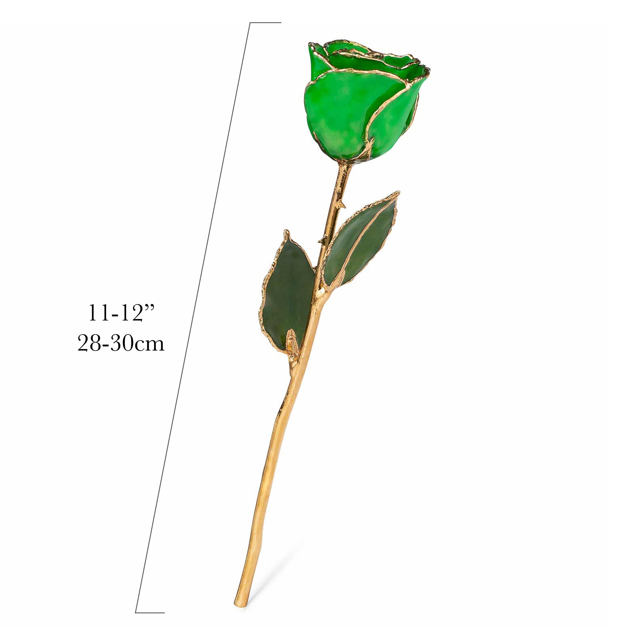 24K Gold Forever Rose - Green