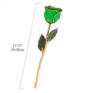 24K Gold Forever Rose - Green