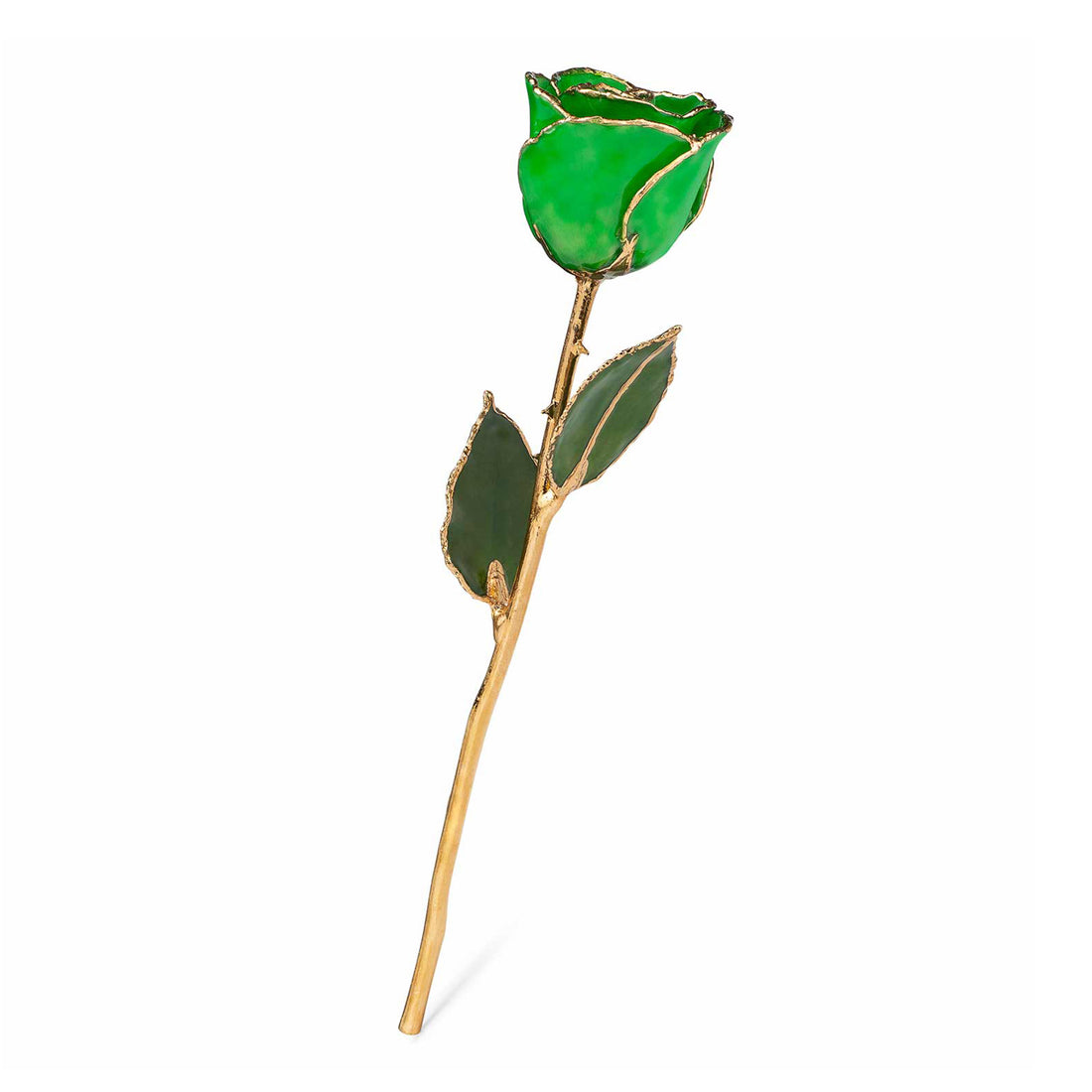 24K Gold Forever Rose - Green