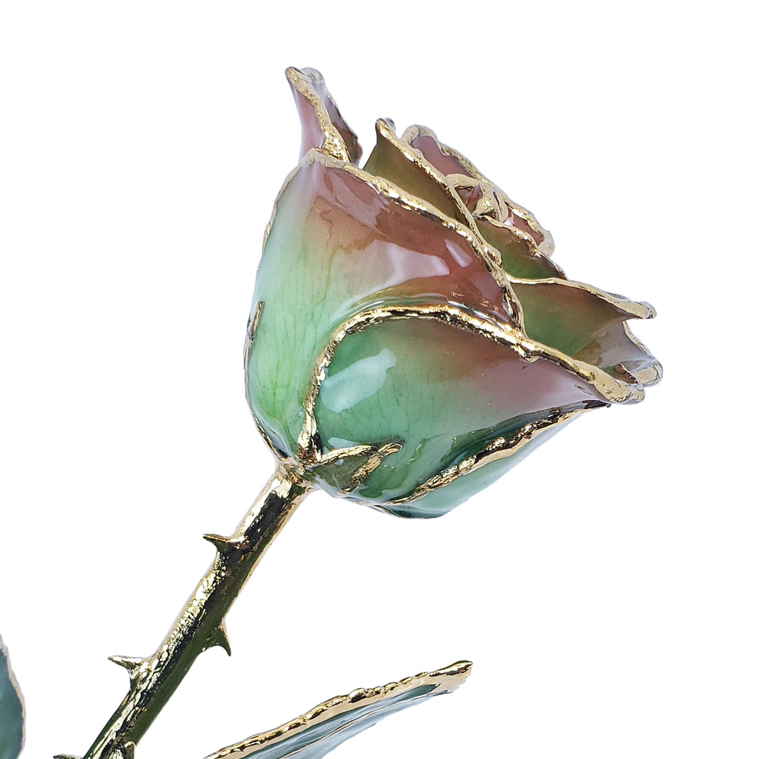 24K Gold Forever Rose - Harvest Moon