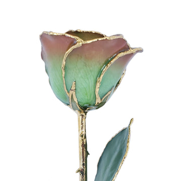 24K Gold Forever Rose - Harvest Moon