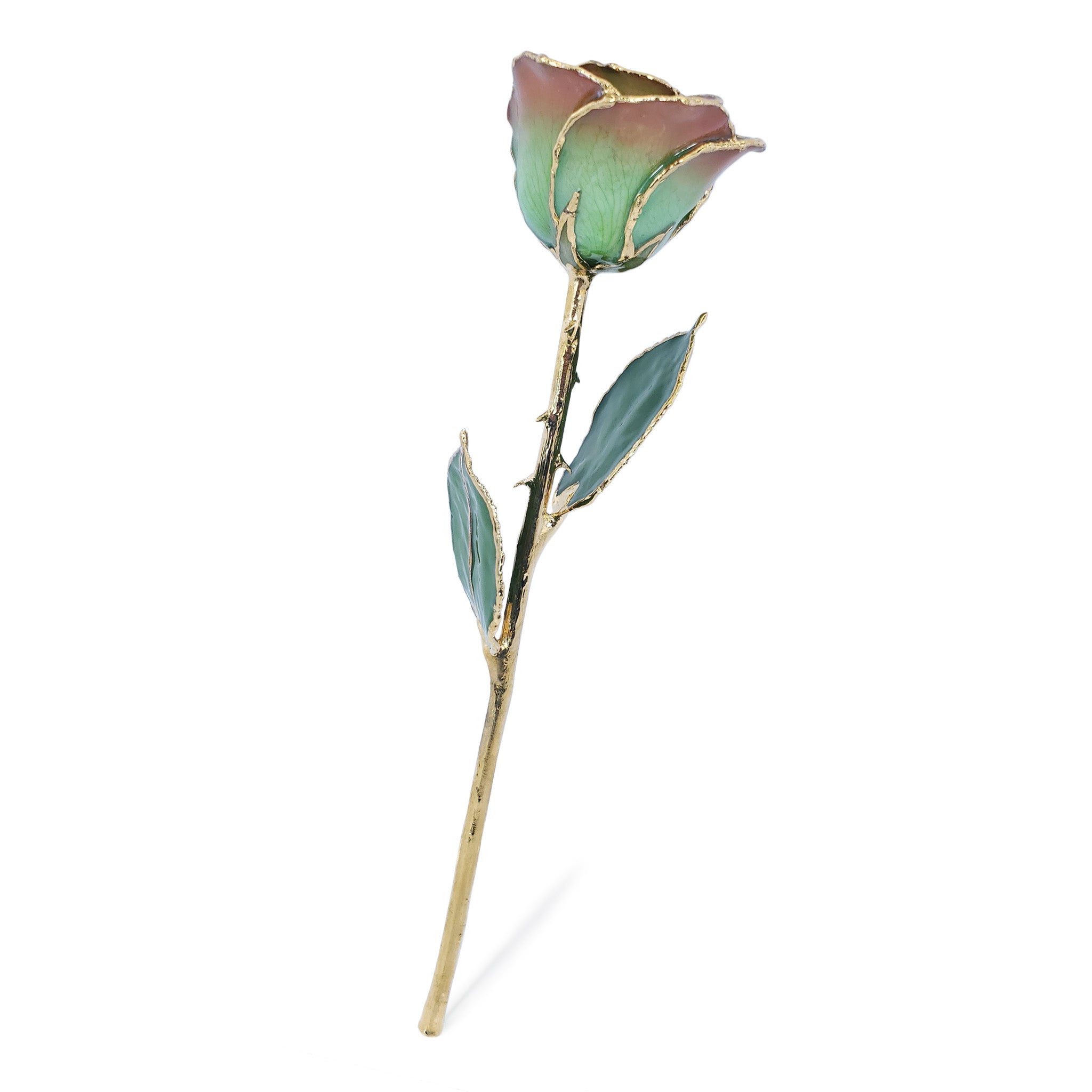 24K Gold Forever Rose - Harvest Moon