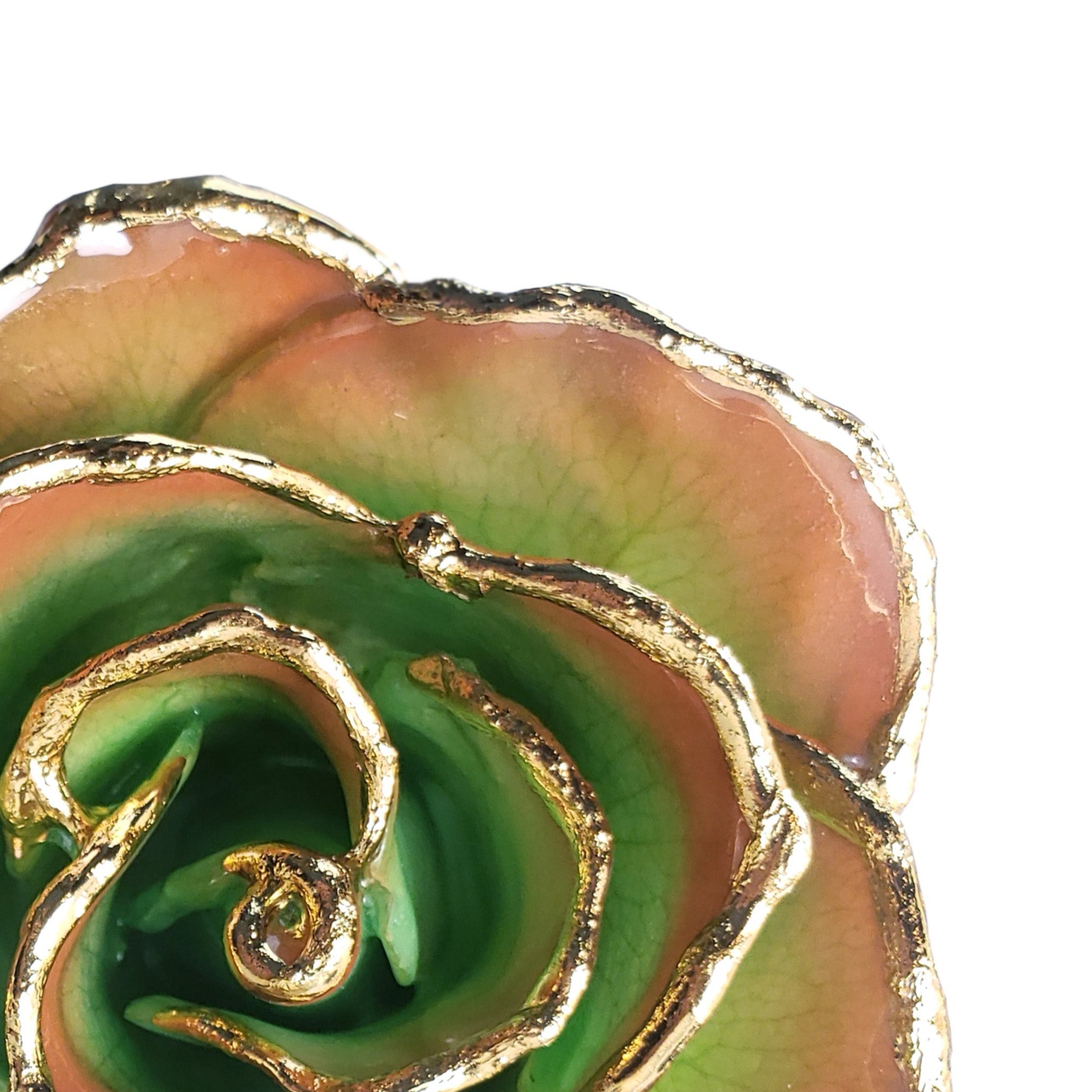 24K Gold Forever Rose - Harvest Moon