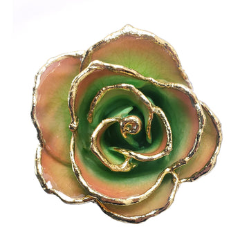 24K Gold Forever Rose - Harvest Moon