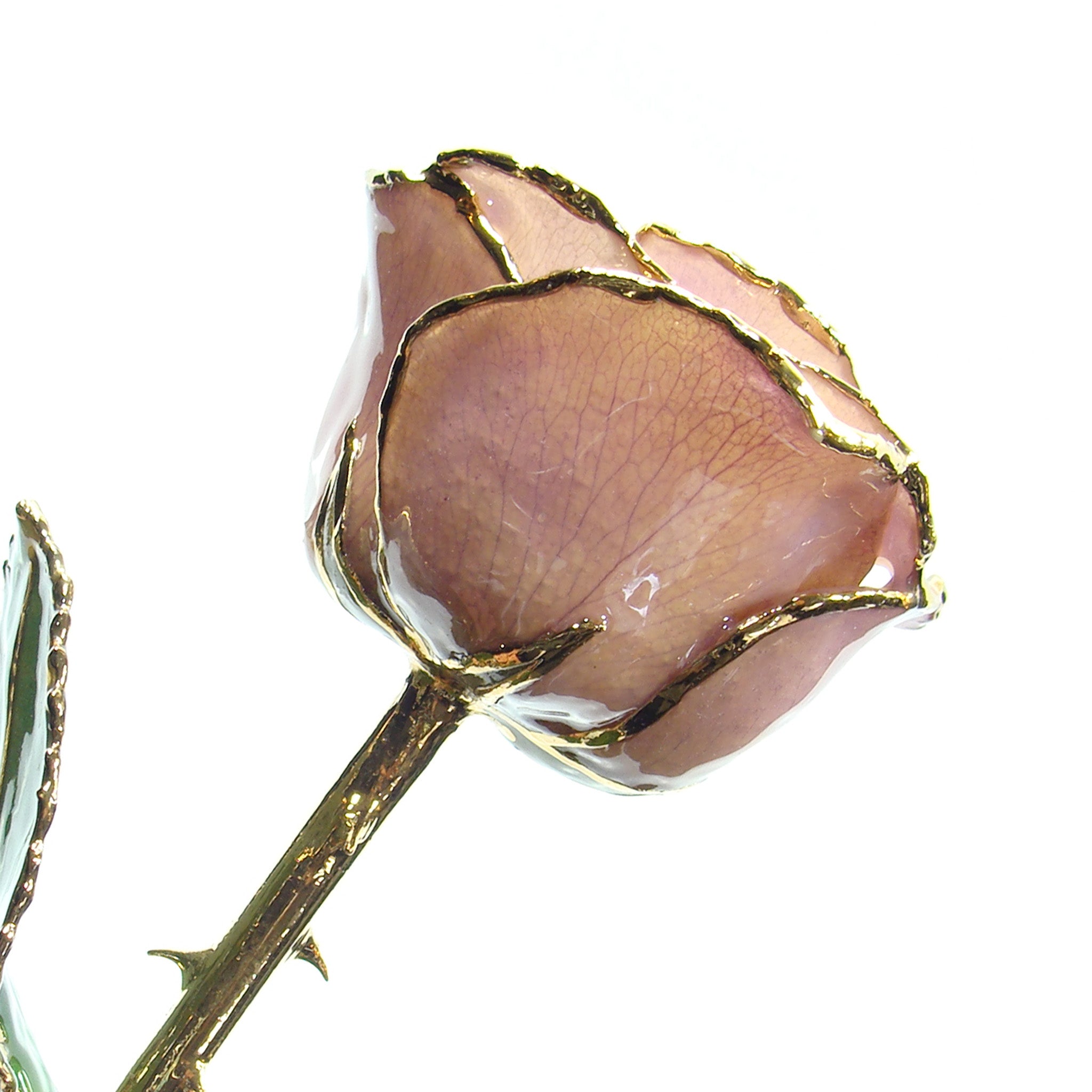 24K Gold Forever Rose - Lavender - The Forever Rose