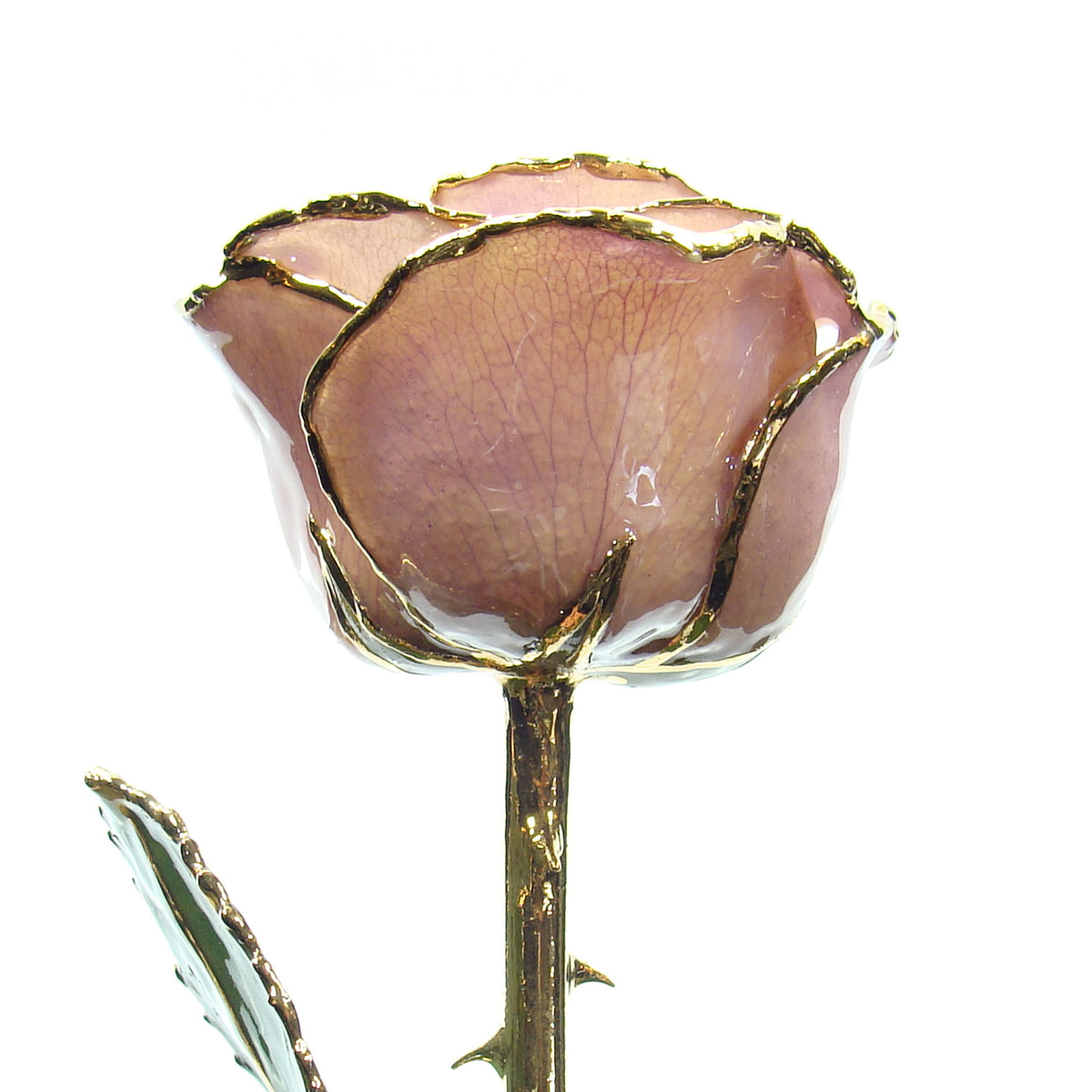 24K Gold Trimmed Forever Rose with Lavender Petals which are a light pink or purple color. View of Stem, Leaves, and Rose Petals and Showing Detail of Gold Trim