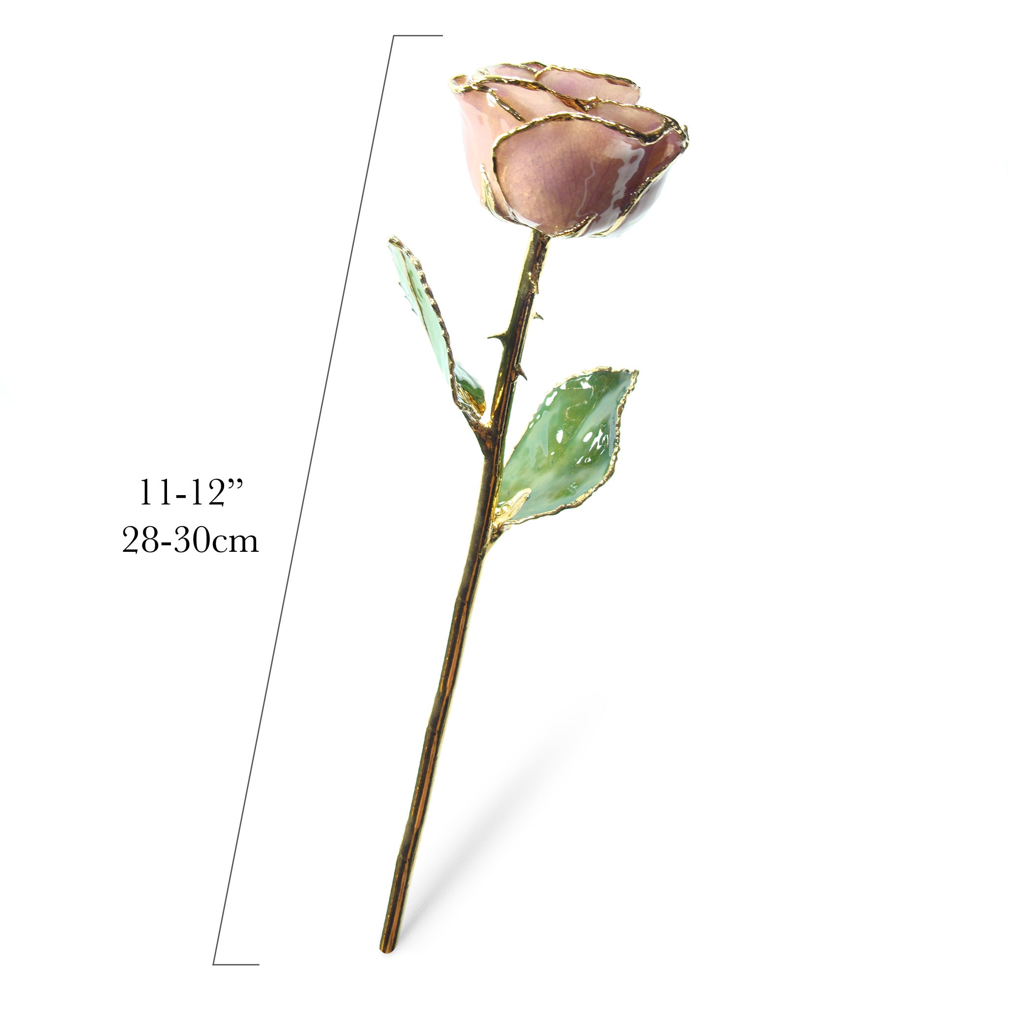 24K Gold Trimmed Forever Rose with Lavender Petals which are a light pink or purple color. View of Stem, Leaves, and Rose Petals and Showing Detail of Gold Trim showing measurements