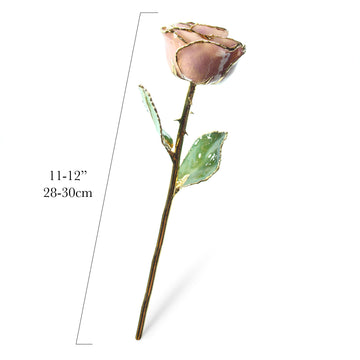 24K Gold Trimmed Forever Rose with Lavender Petals which are a light pink or purple color. View of Stem, Leaves, and Rose Petals and Showing Detail of Gold Trim showing measurements