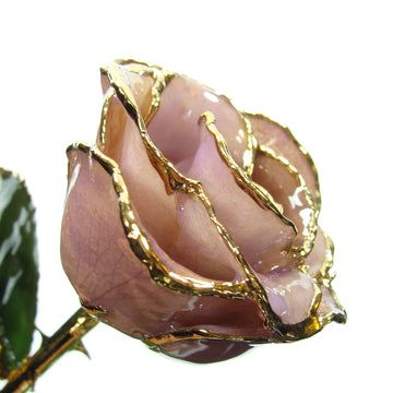 24K Gold Trimmed Forever Rose with Lavender Petals which are a light pink or purple color. View of Stem, Leaves, and Rose Petals and Showing Detail of Gold Trim