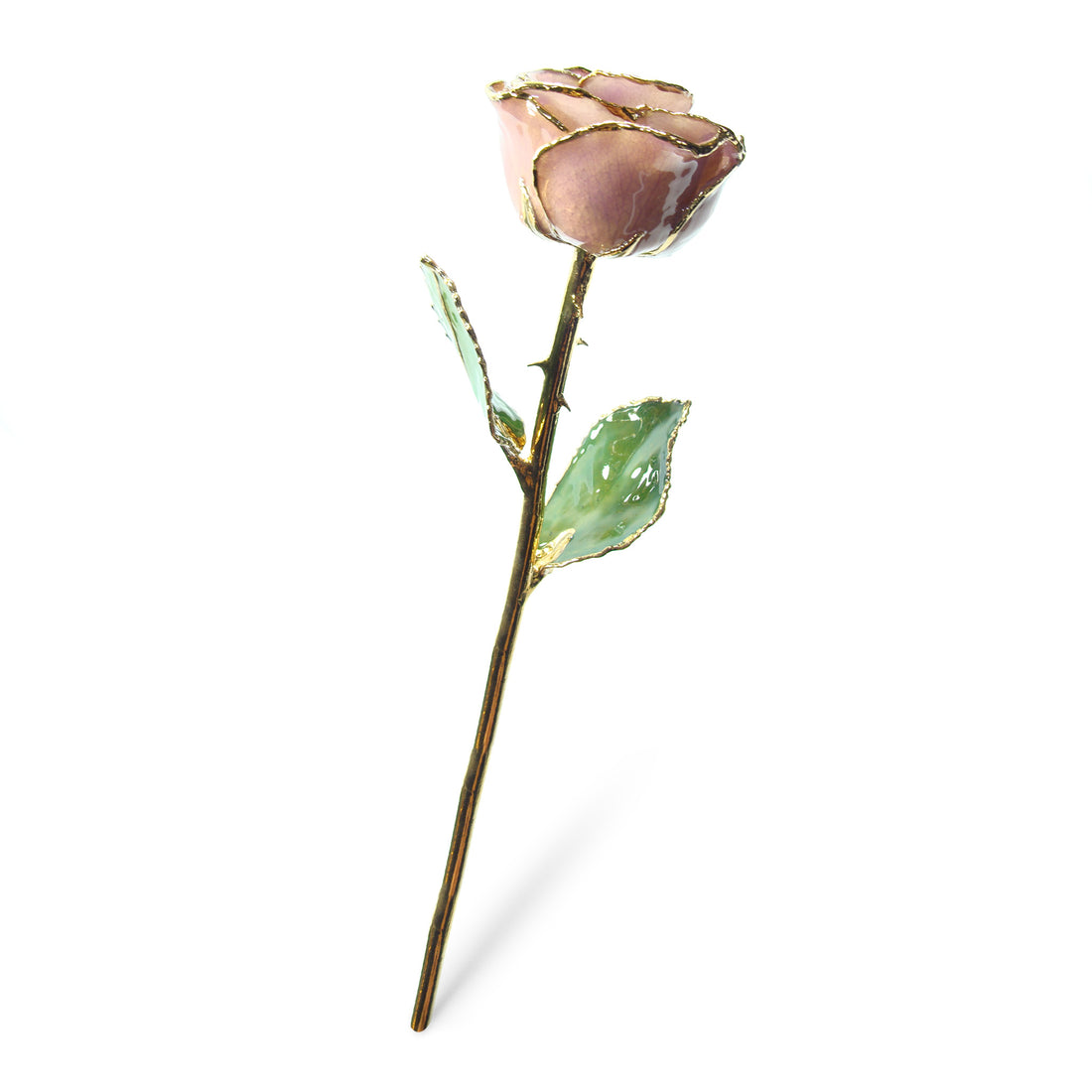 24K Gold Trimmed Forever Rose with Lavender Petals which are a light pink or purple color. View of Stem, Leaves, and Rose Petals and Showing Detail of Gold Trim showing measurements