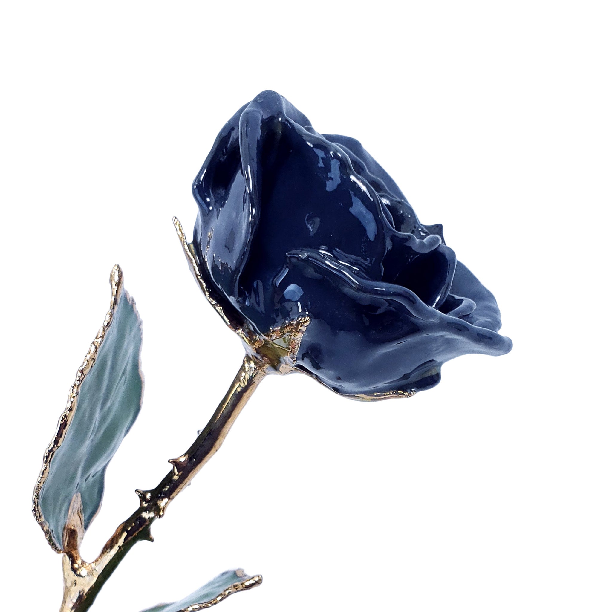 24K Gold Forever Rose - The Living Rose