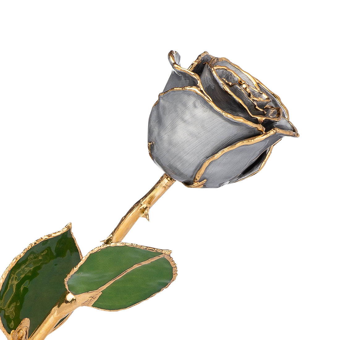 24K Gold Forever Rose - Moonstruck (Limited Edition)