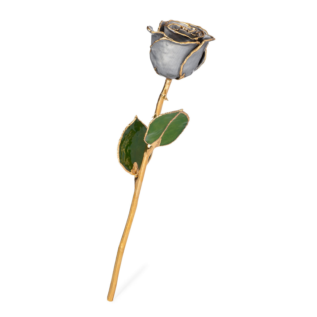 24K Gold Forever Rose - Moonstruck (Limited Edition)