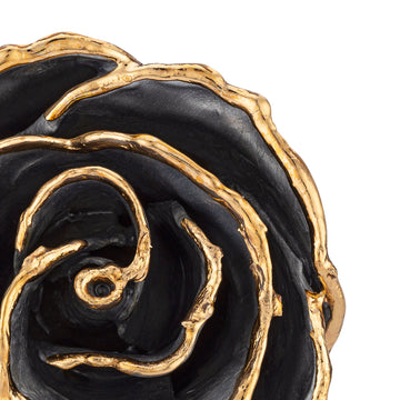 24K Gold Forever Rose - Moonstruck (Limited Edition)