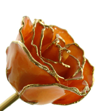 24K Gold Trimmed Forever Rose with Orange Petals. View of Stem, Leaves, and Rose Petals and Showing Detail of Gold Trim