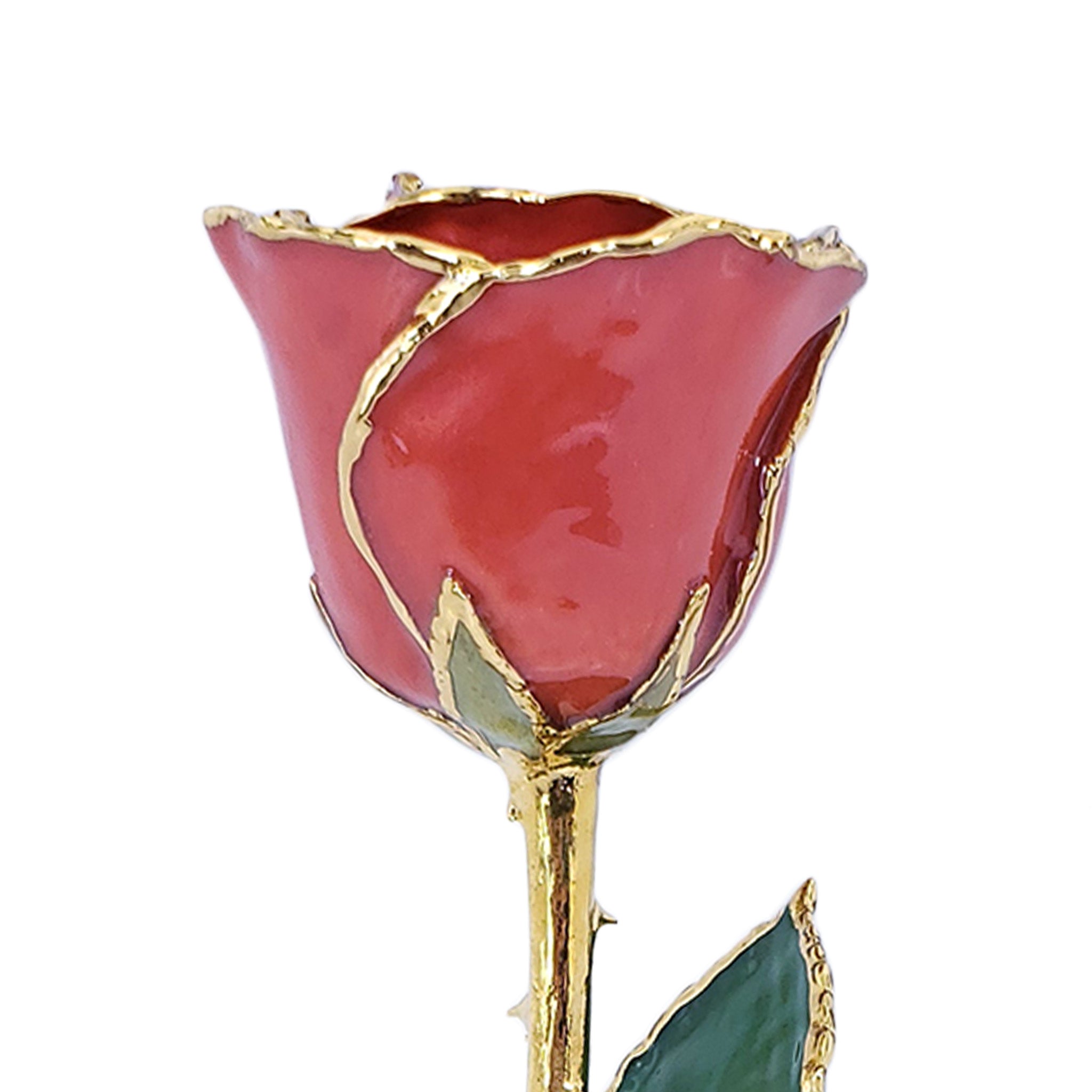 24K Gold Forever Rose - Passion