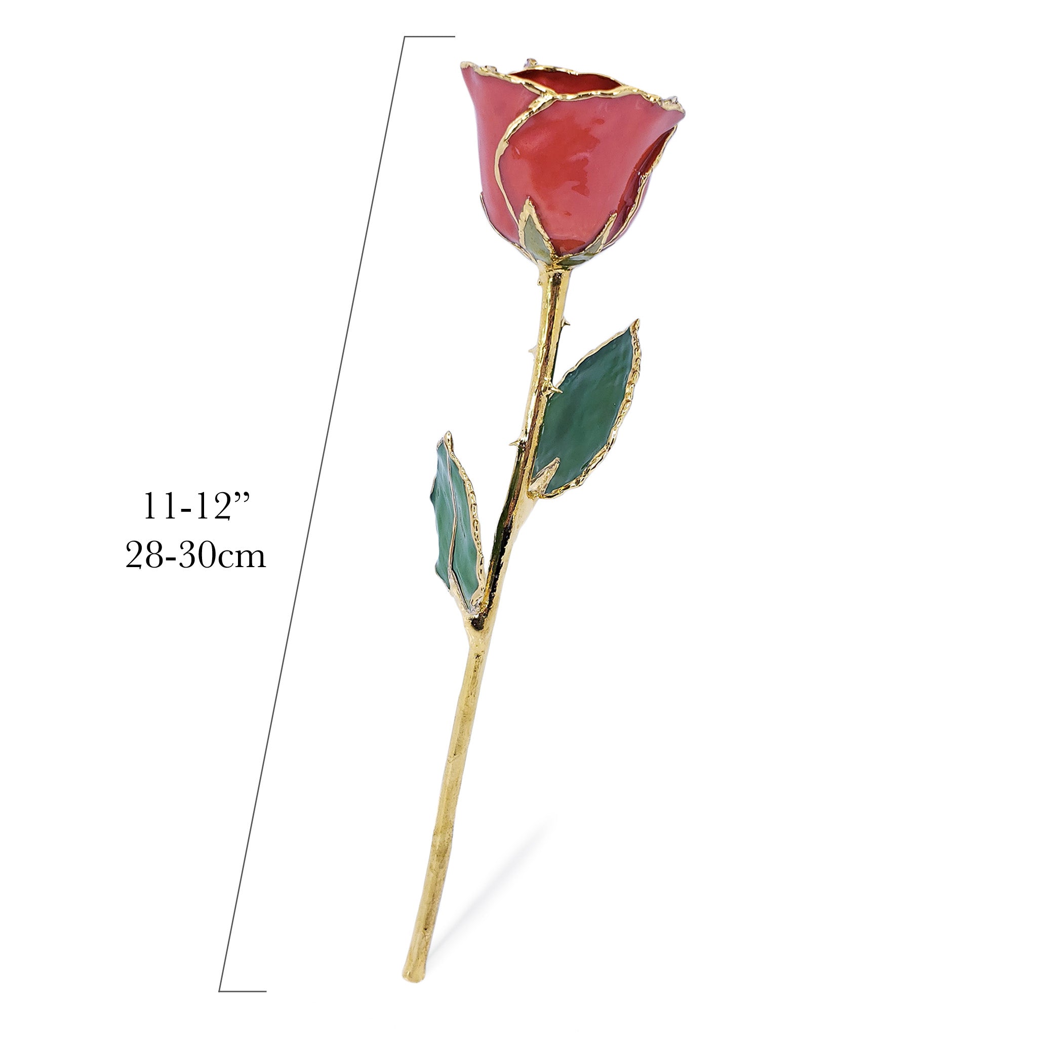 24K Gold Forever Rose - Passion