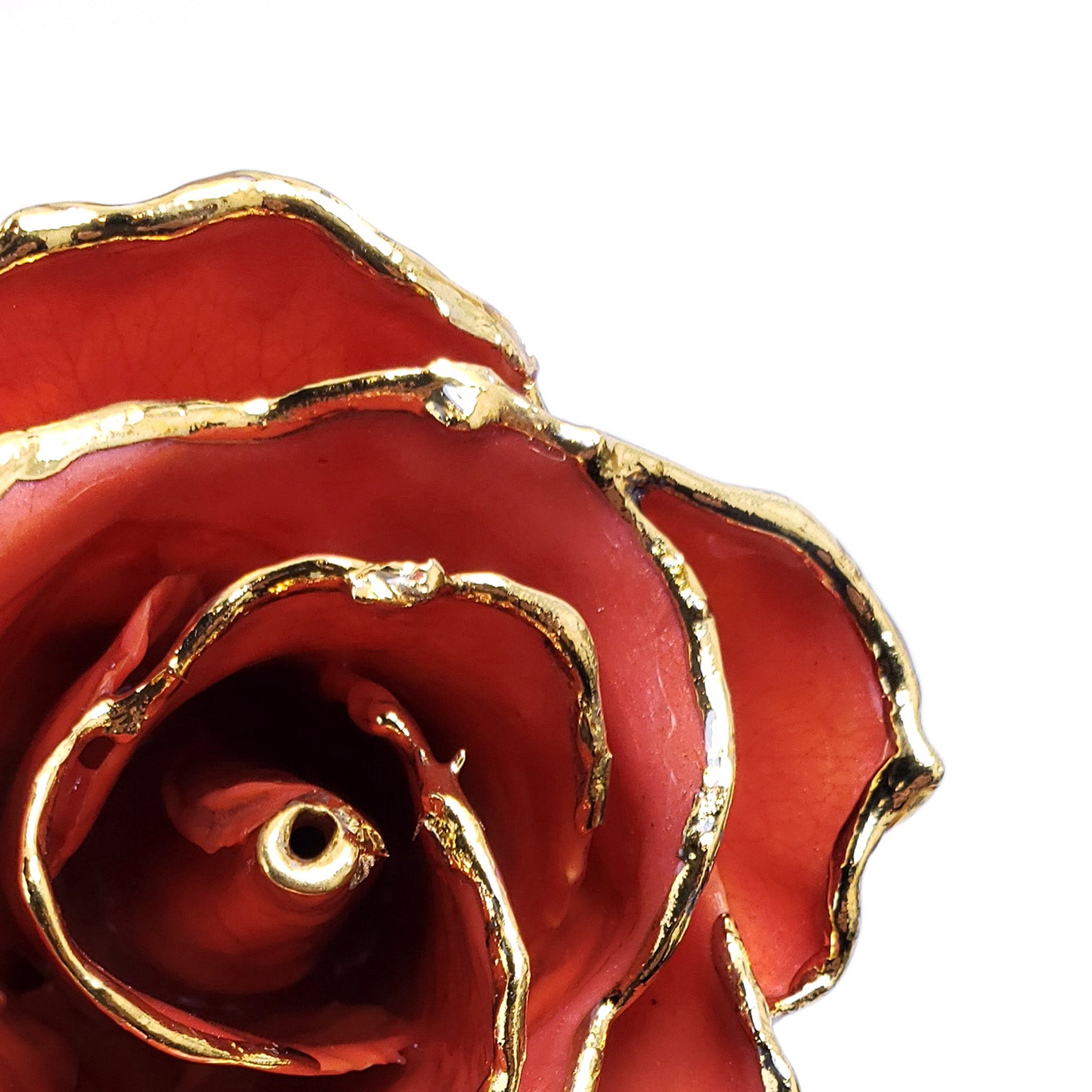 24K Gold Forever Rose - Passion