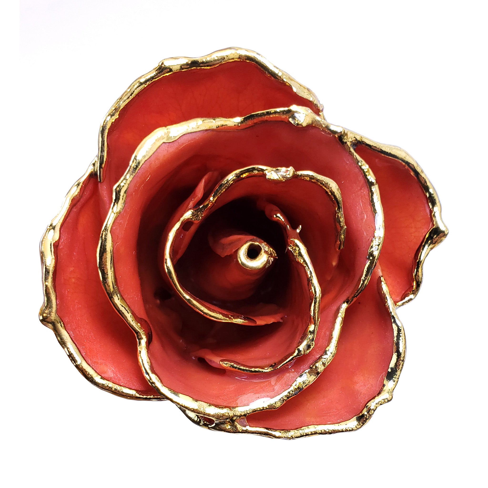 24K Gold Forever Rose - Passion