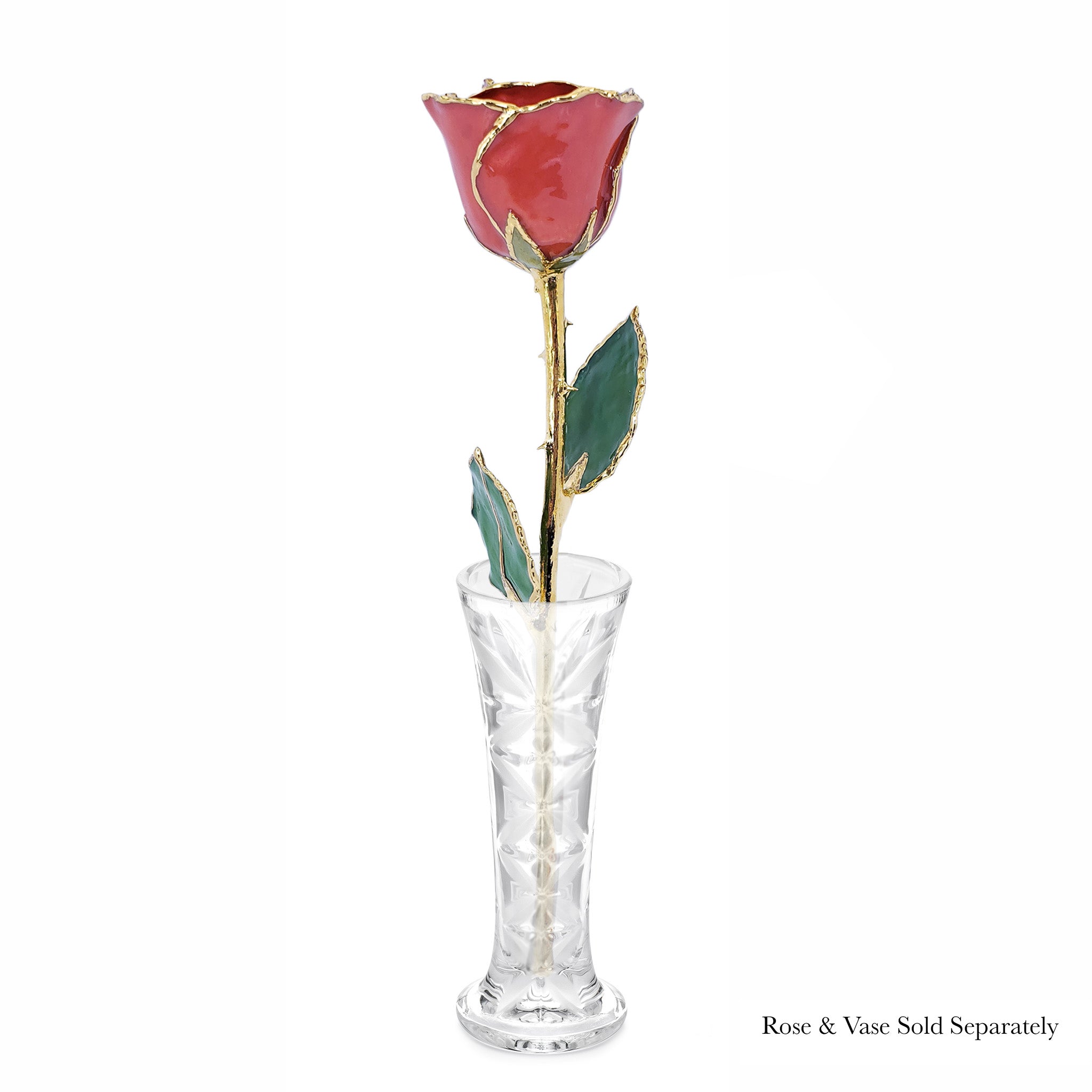 24K Gold Forever Rose - Passion