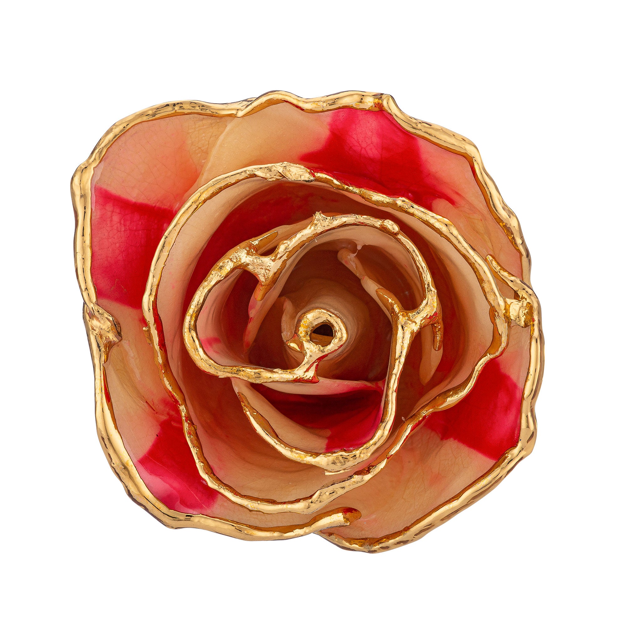 24K Gold Trimmed Forever Rose with Peppermint Striped Petals. View of Stem, Leaves, and Rose Petals and Showing Detail of Gold Trim view from top