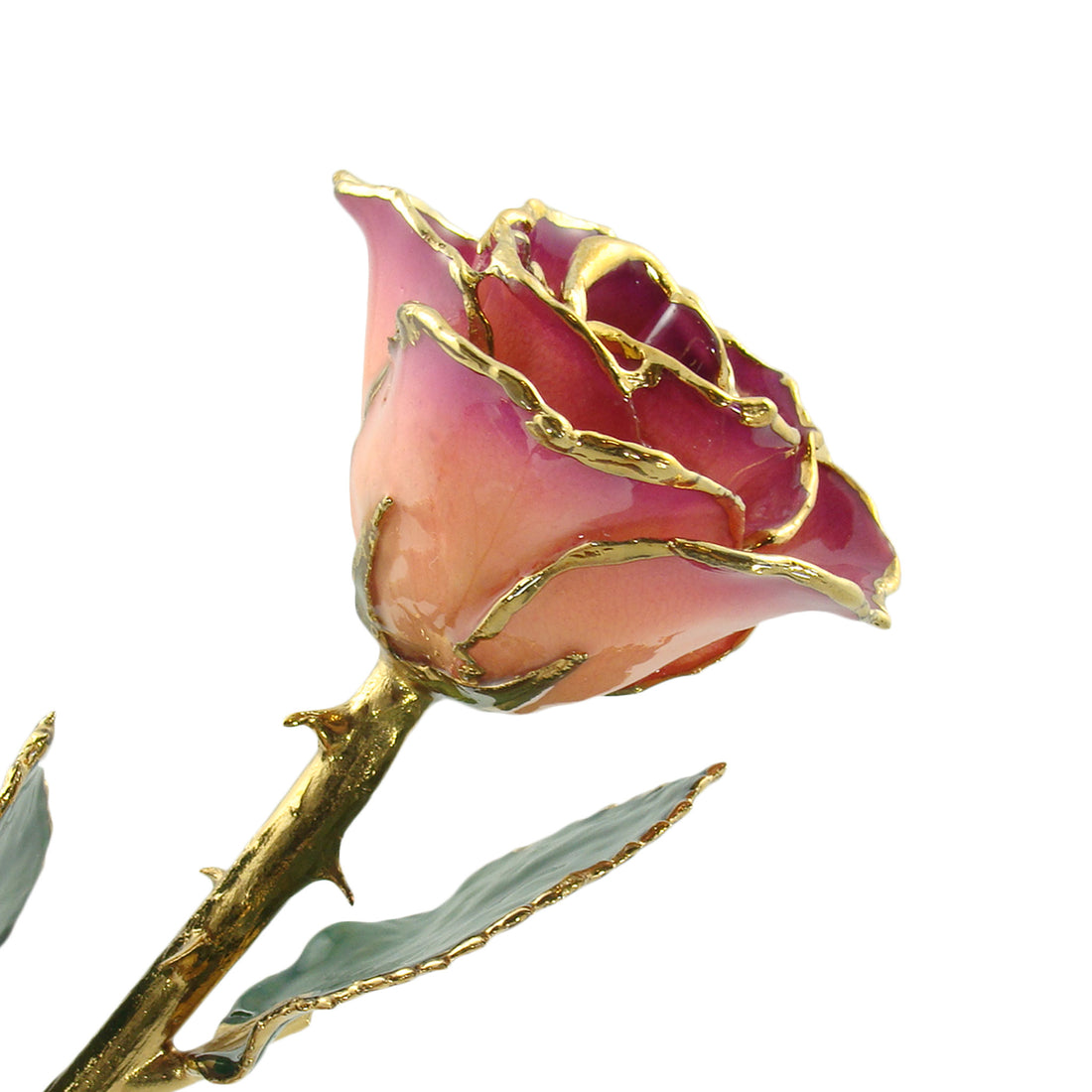 24K Gold Forever Rose - Pink Amethyst