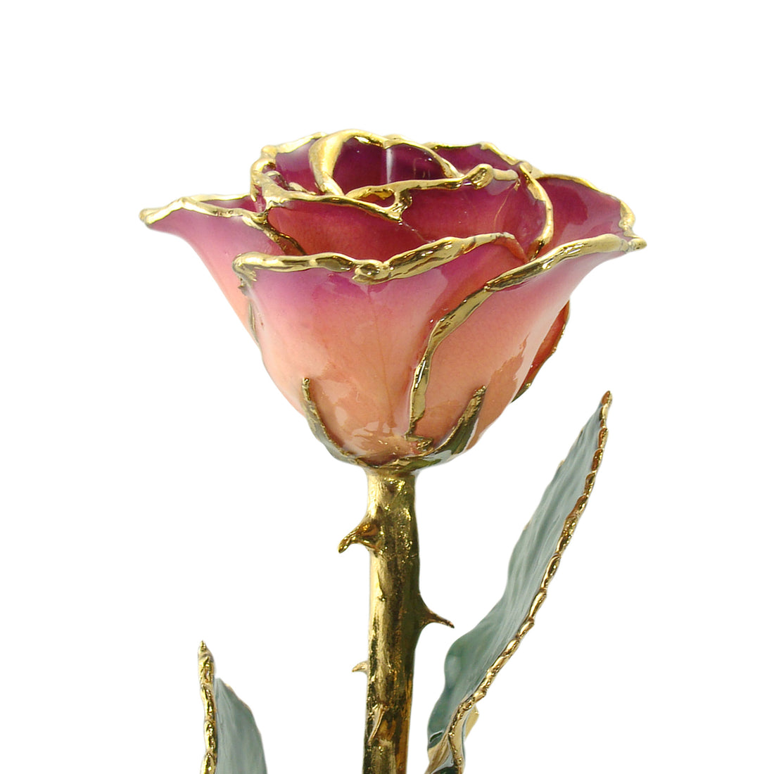 24K Gold Forever Rose - Pink Amethyst