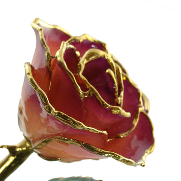 24K Gold Forever Rose - Pink Amethyst