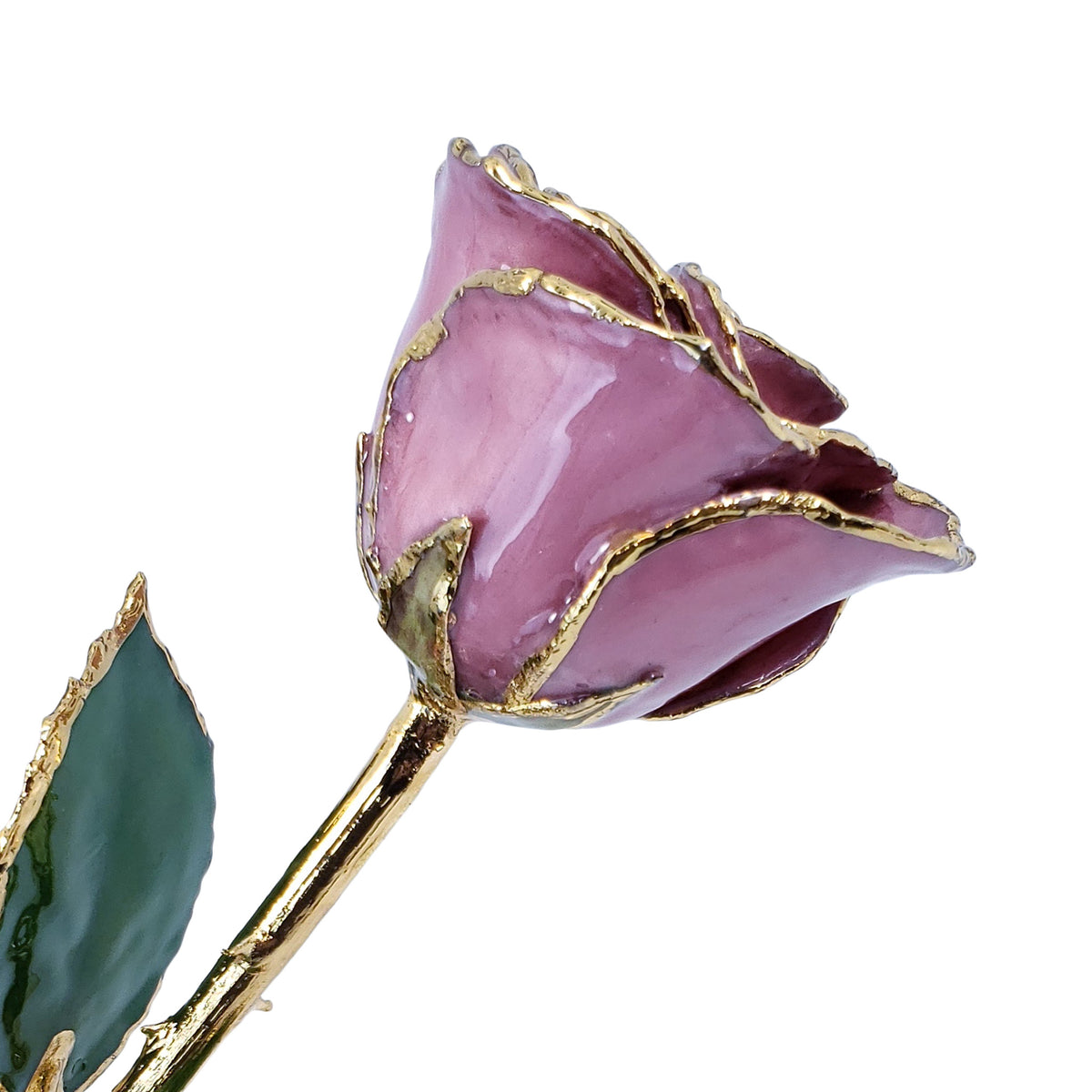 24K Gold Forever Rose - Pink Lilac