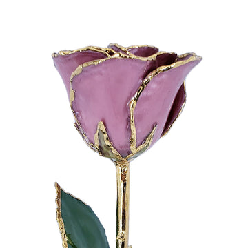 24K Gold Forever Rose - Pink Lilac