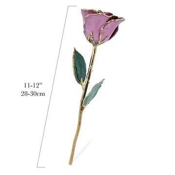24K Gold Forever Rose - Pink Lilac