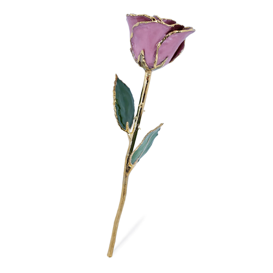 24K Gold Forever Rose - Pink Lilac