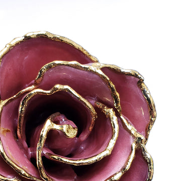 24K Gold Forever Rose - Pink Lilac