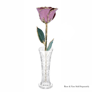 24K Gold Forever Rose - Pink Lilac