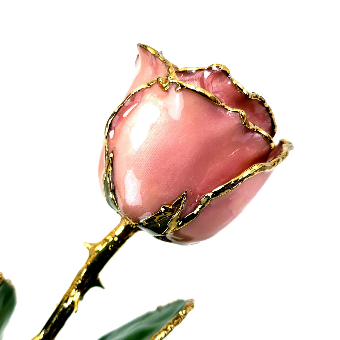 24K Gold Forever Rose - Pink Opal