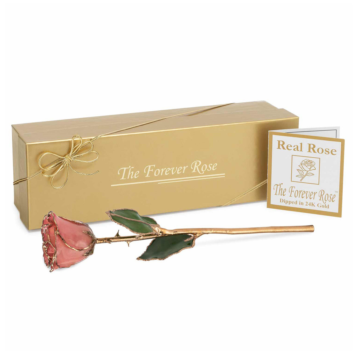 24K Gold Trimmed Forever Rose with Pink Petals. View of Stem, Leaves, and Rose Petals and Showing Detail of Gold Trim shown with gold gift box and certificate of authenticity