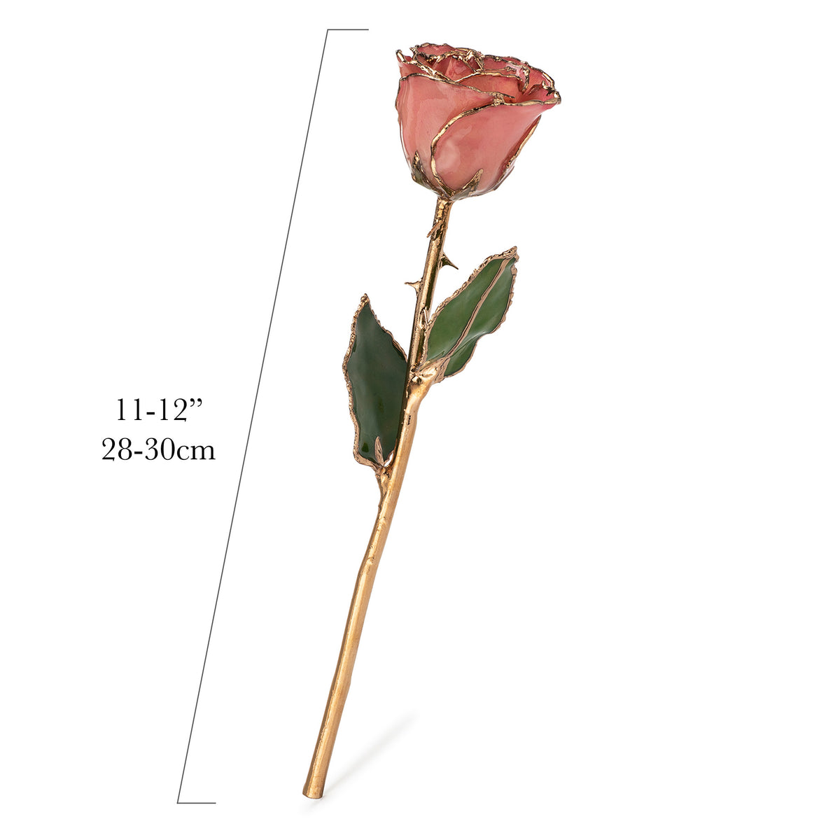 24K Gold Trimmed Forever Rose with Pink Petals. View of Stem, Leaves, and Rose Petals and Showing Detail of Gold Trim measurements