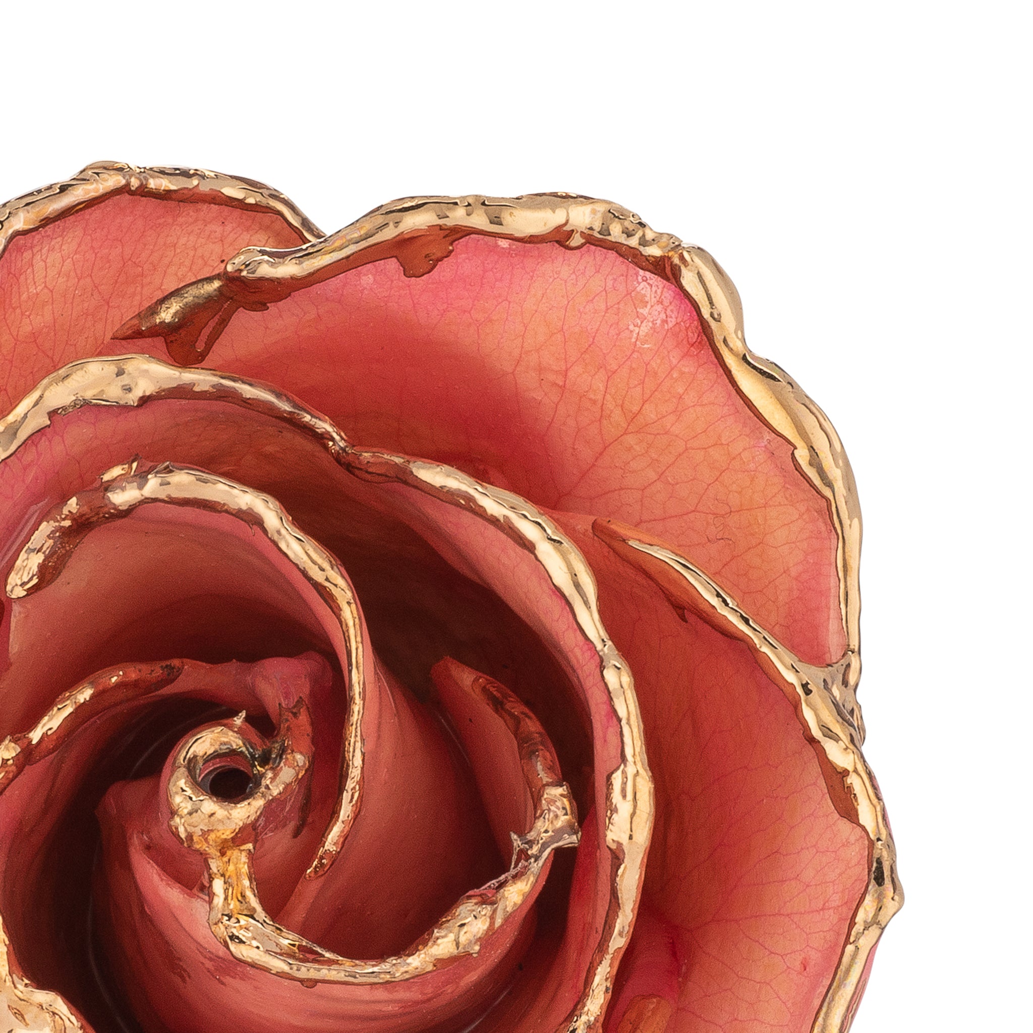 24K Gold Trimmed Forever Rose with Pink Petals. View of Stem, Leaves, and Rose Petals and Showing Detail of Gold Trim zoomed in view from top