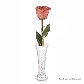 24K Gold Forever Rose - Pink