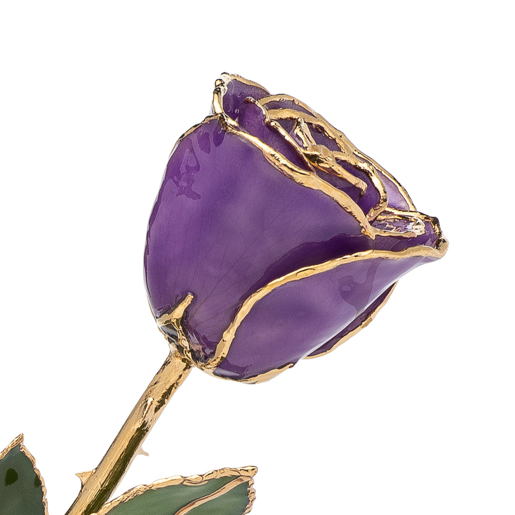 24k Gold Dipped Pure Purple Rose – Gold Rose Emporium