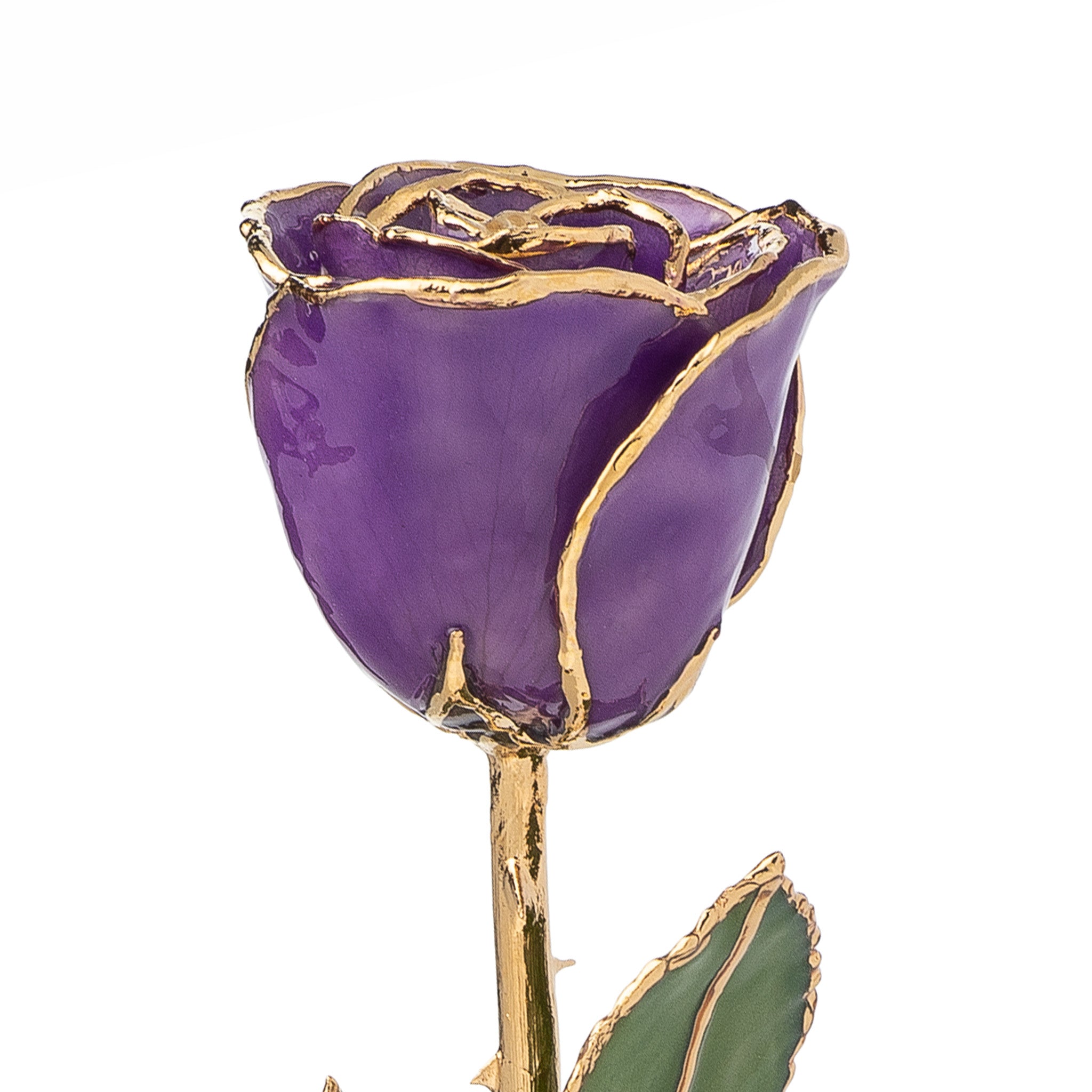 24K Gold Forever Rose - Purple