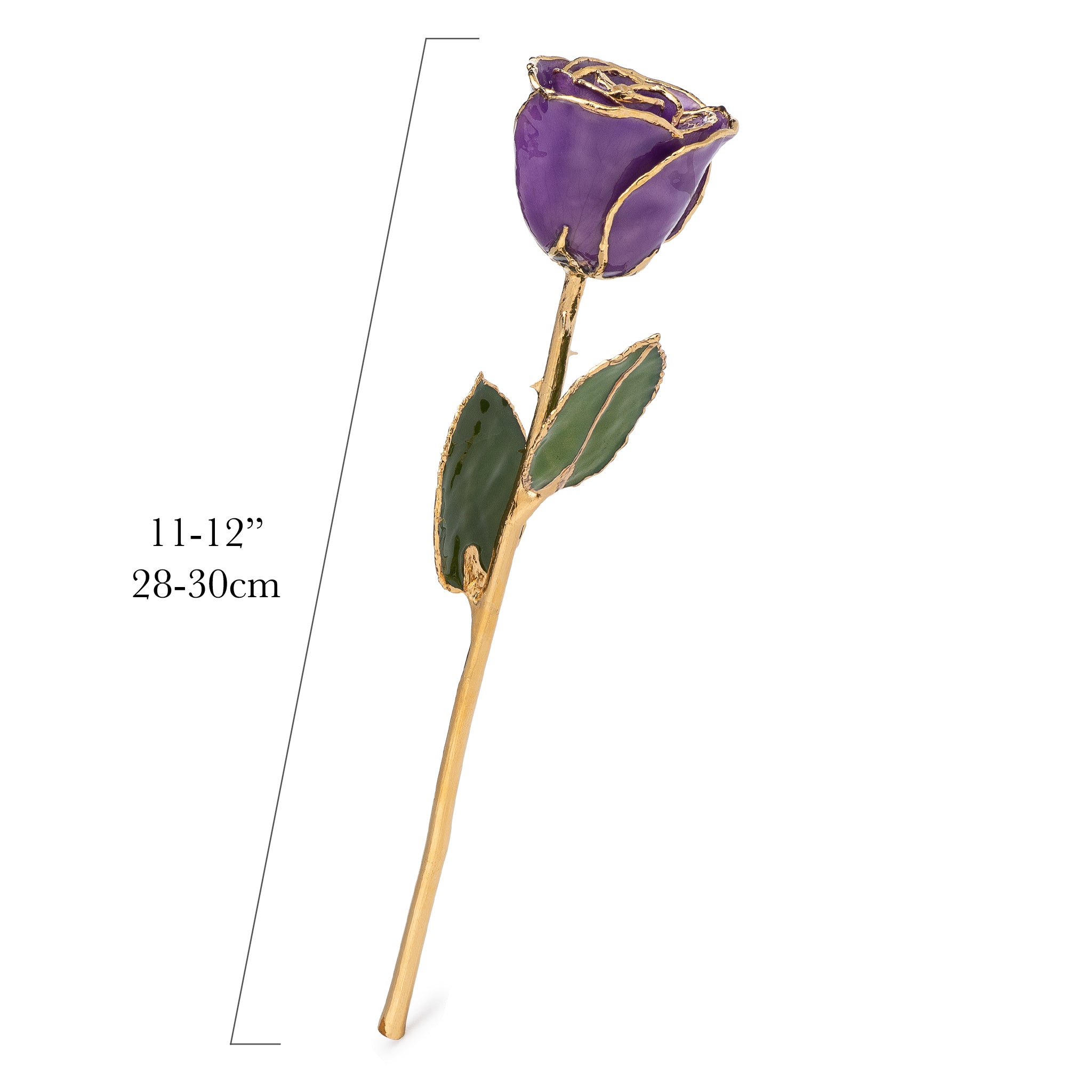 24K Gold Forever Rose - Purple