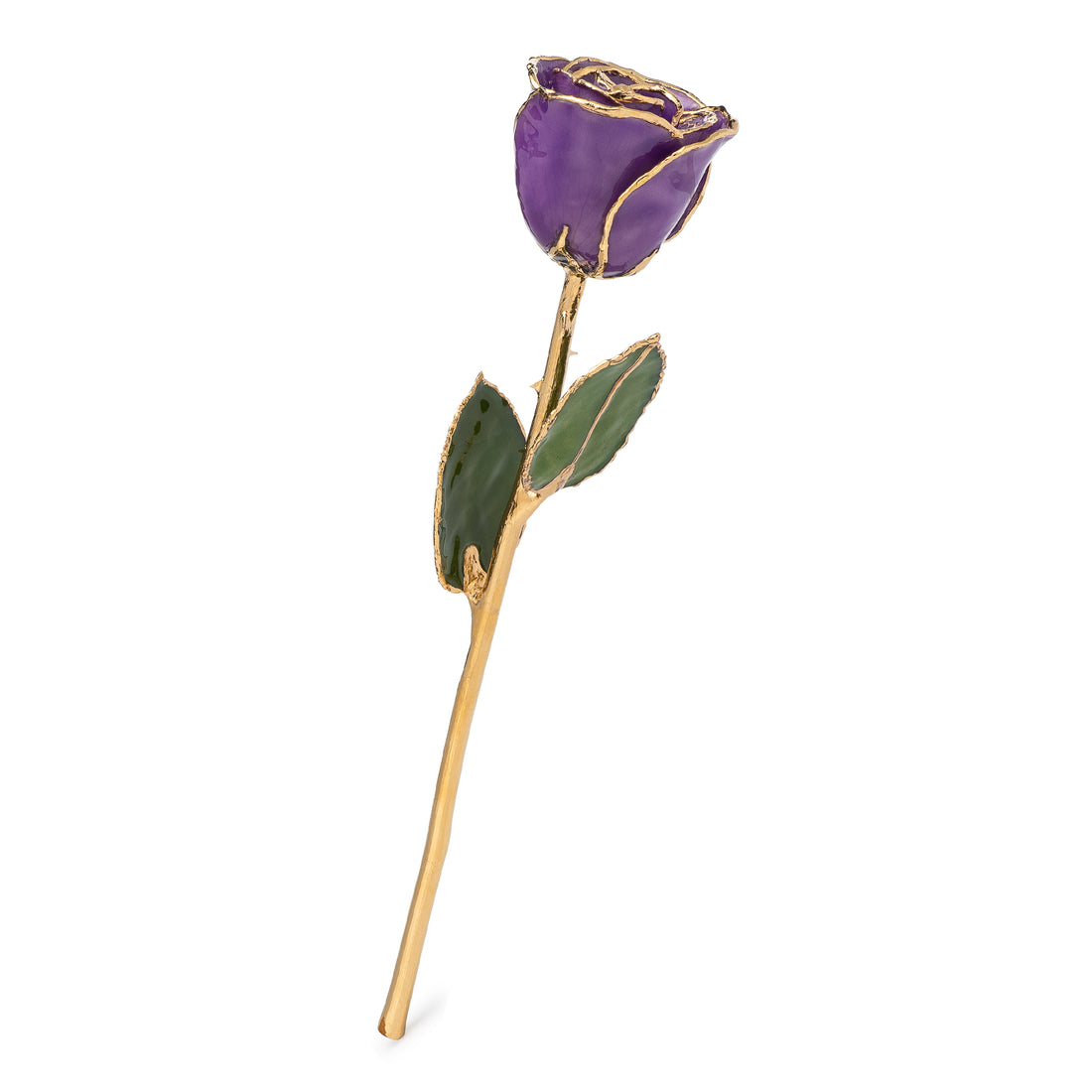 24K Gold Forever Rose - Purple